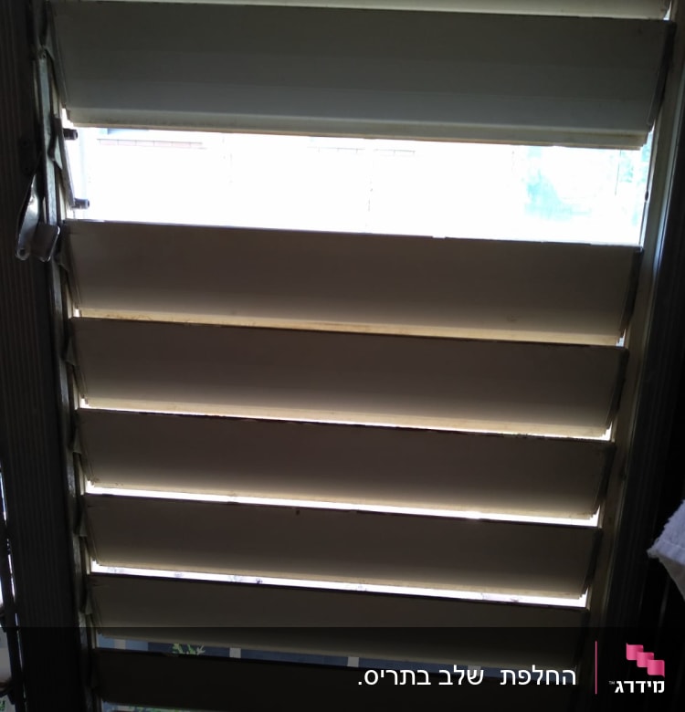 תריסים אופקיים פתוחים למחצה עם אור חודר